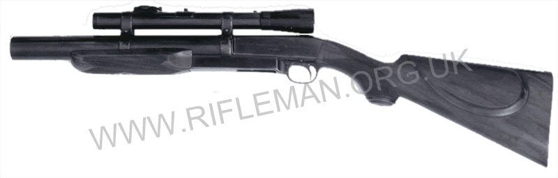 DeLisle 22RF carbine - LHS