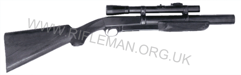 DeLisle 22RF carbine - rHS